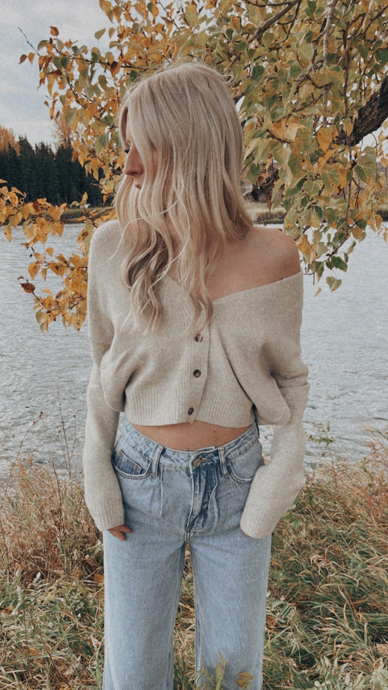 Cozy Cream Knit Cardigan