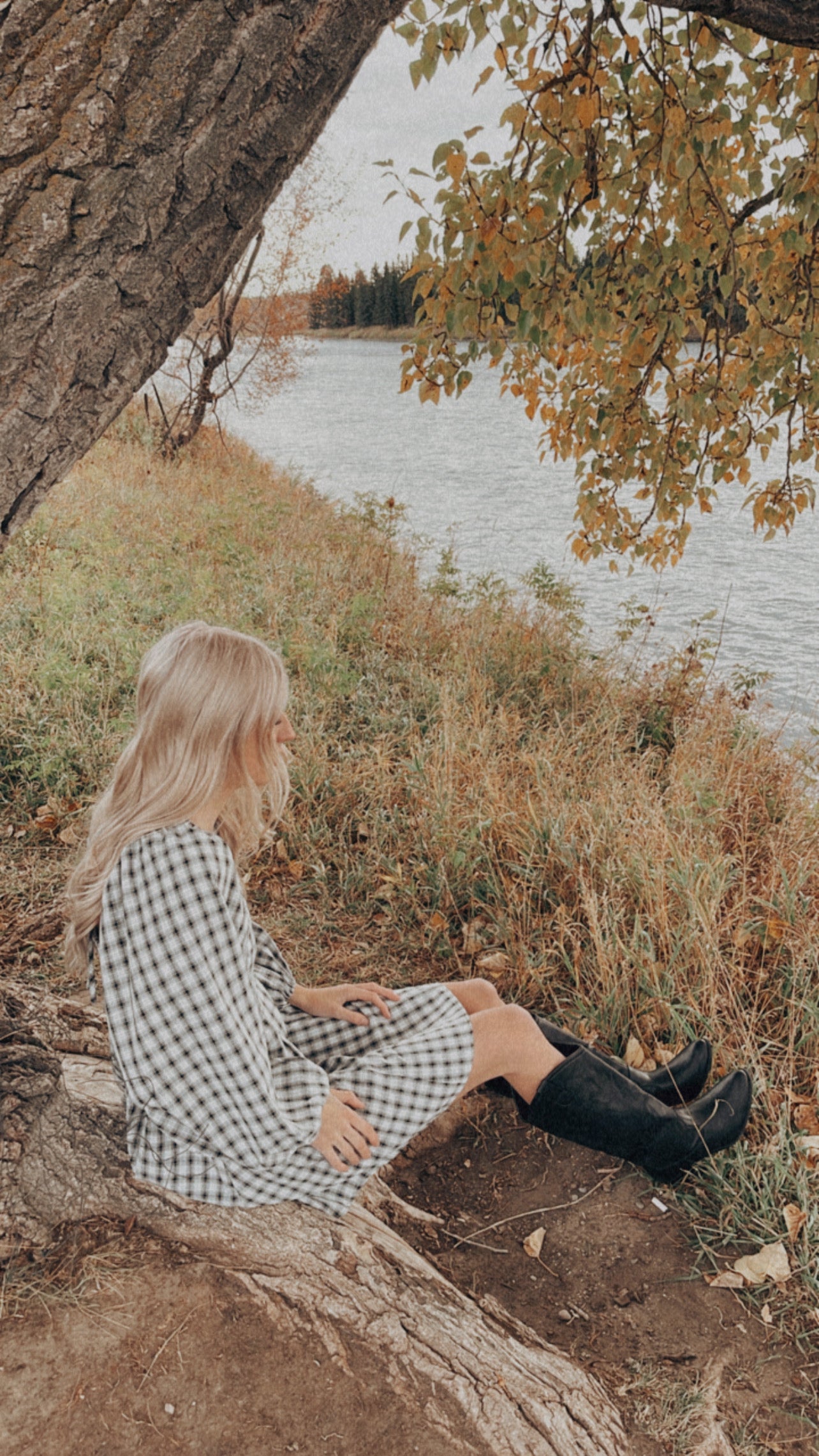 Plaid Baby Doll Dress